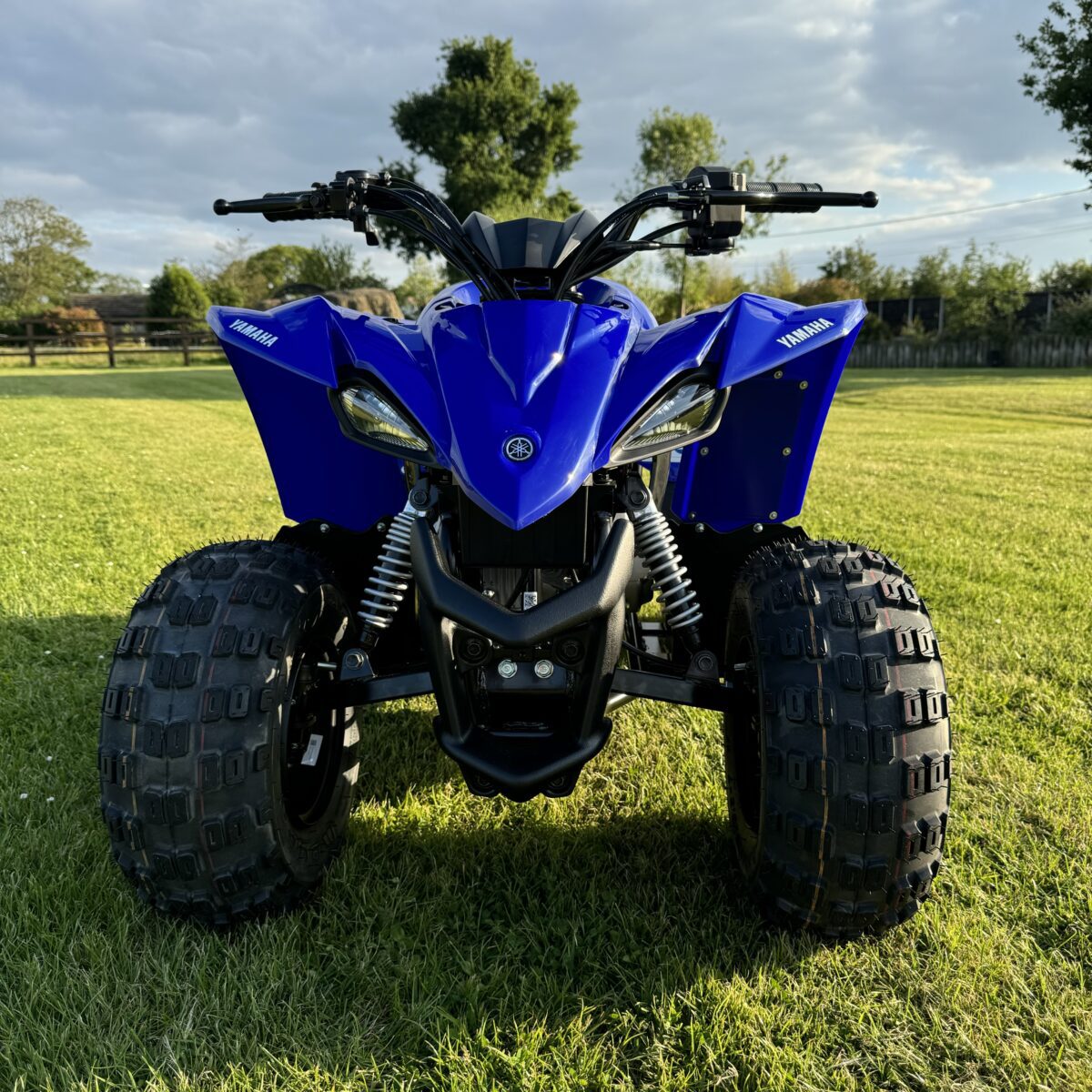 2024 Yamaha YZF50 Or YFM90r - Racing Blue - Image 5