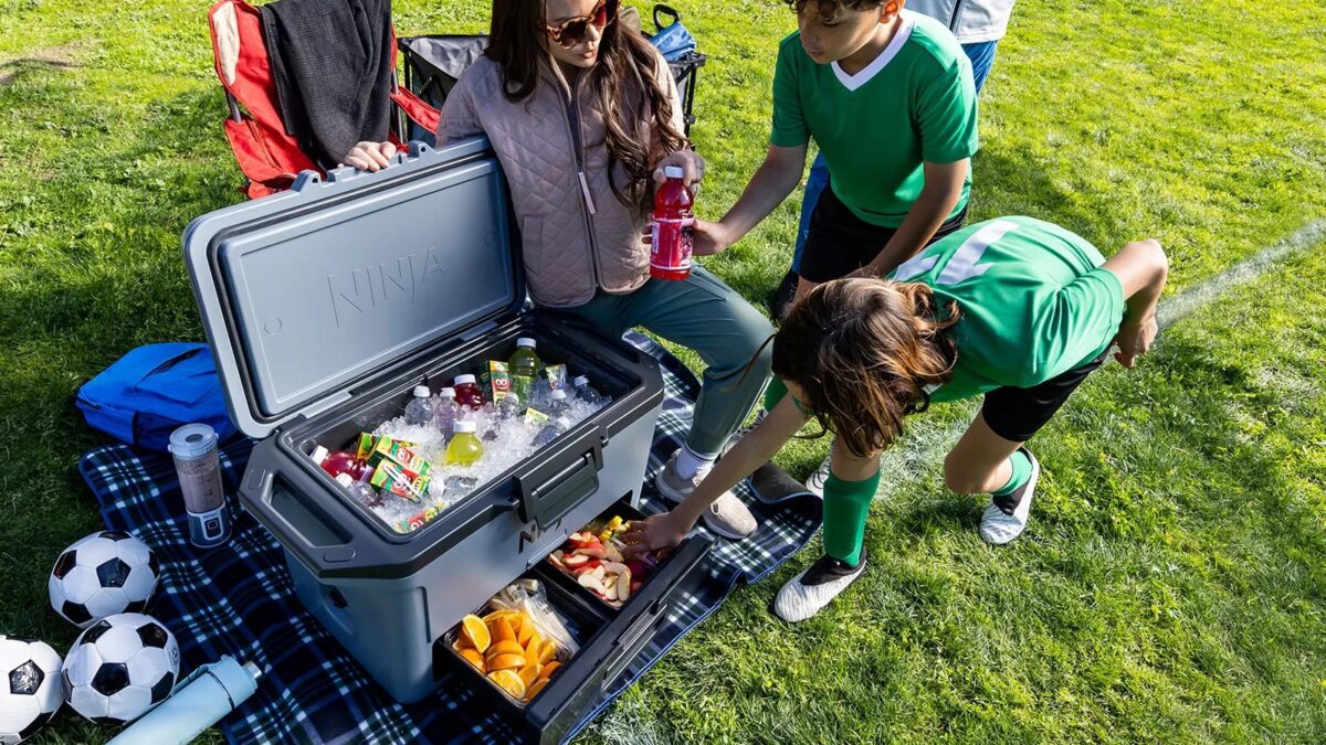 Ninja FrostVault 47L Hard Cooler & FREE Thirsti Bottle #2 - Image 4