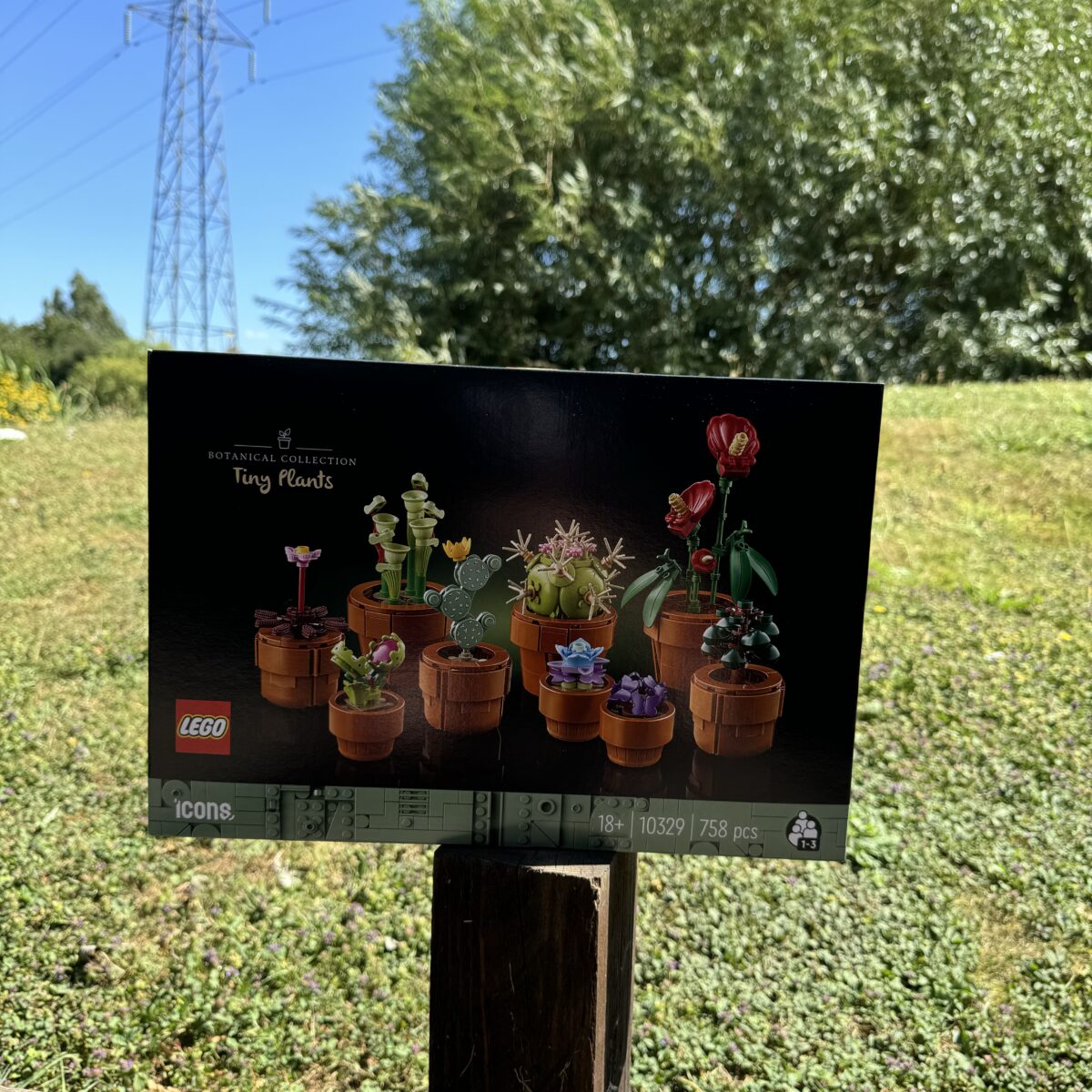 Lego 6pc Botanical Collection Bundle - Image 3